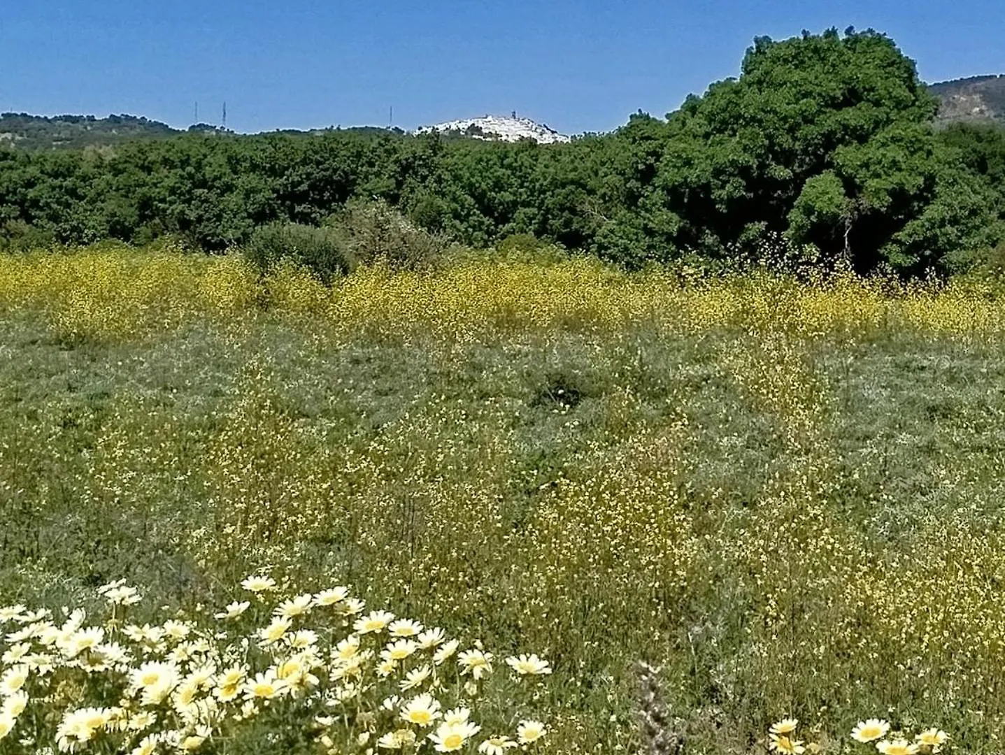 Casa Aljibe Bed & Breakfast Alcala de los Gazules 0*,  Spain