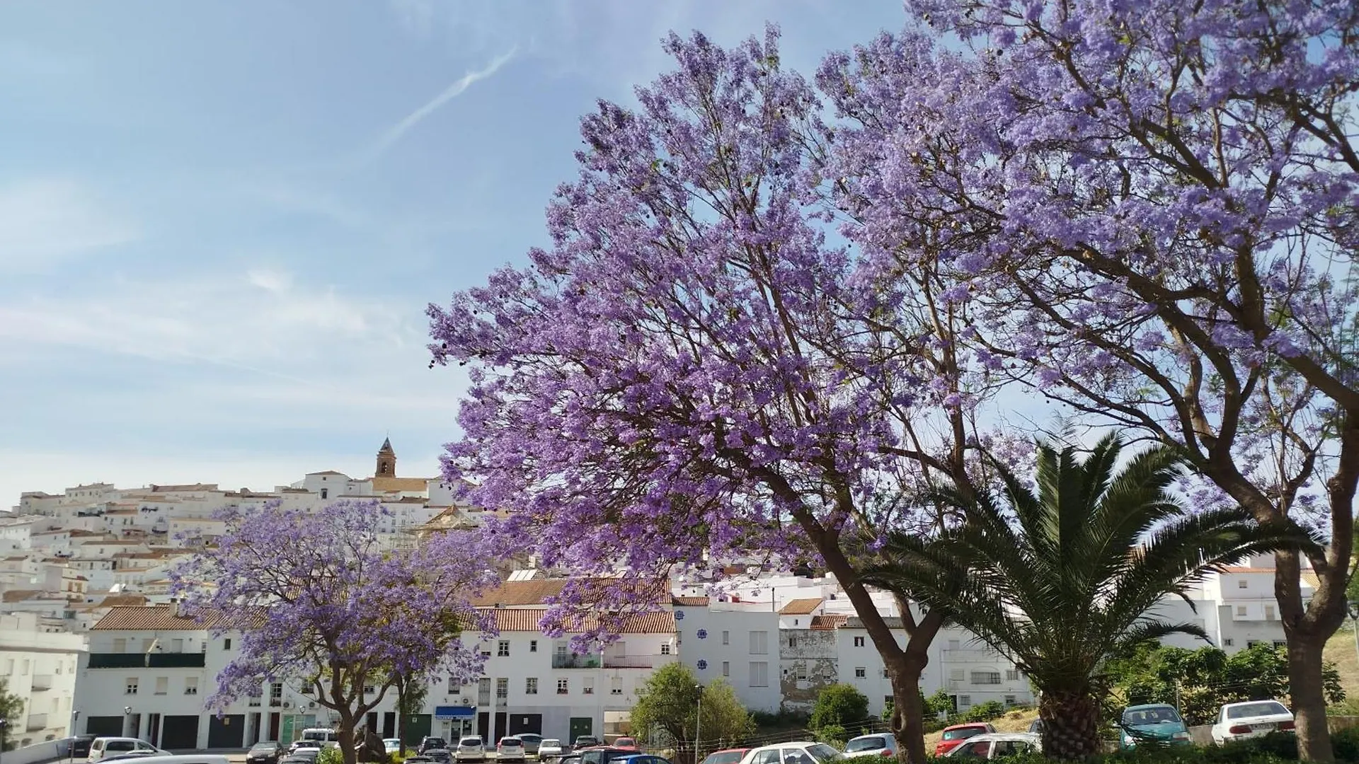 Casa Aljibe Bed & Breakfast Alcala de los Gazules Spain